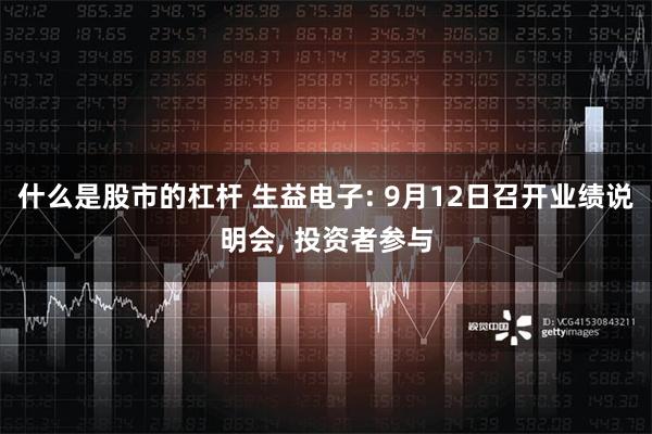 什么是股市的杠杆 生益电子: 9月12日召开业绩说明会, 投资者参与