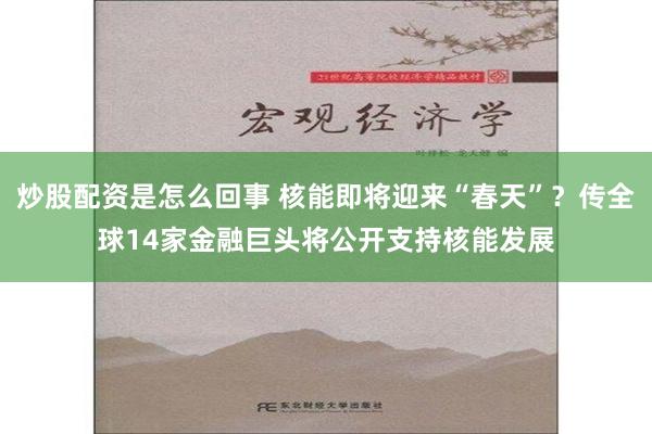 炒股配资是怎么回事 核能即将迎来“春天”？传全球14家金融巨头将公开支持核能发展