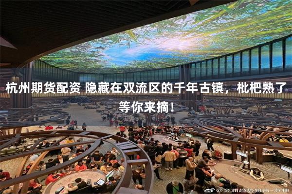 杭州期货配资 隐藏在双流区的千年古镇，枇杷熟了等你来摘！