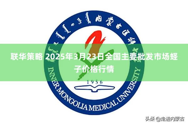 联华策略 2025年3月23日全国主要批发市场蛏子价格行情