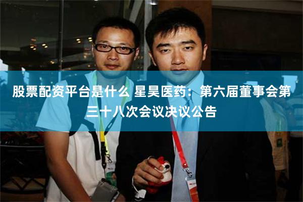 股票配资平台是什么 星昊医药：第六届董事会第三十八次会议决议公告