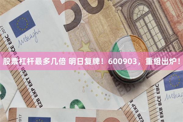 股票杠杆最多几倍 明日复牌！600903，重组出炉！