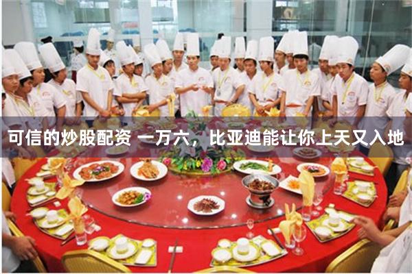 可信的炒股配资 一万六，比亚迪能让你上天又入地