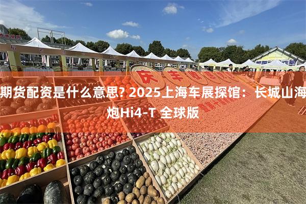 期货配资是什么意思? 2025上海车展探馆：长城山海炮Hi4-T 全球版