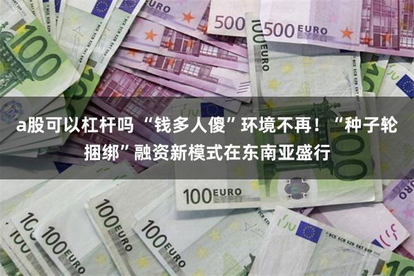 a股可以杠杆吗 “钱多人傻”环境不再！“种子轮捆绑”融资新模式在东南亚盛行