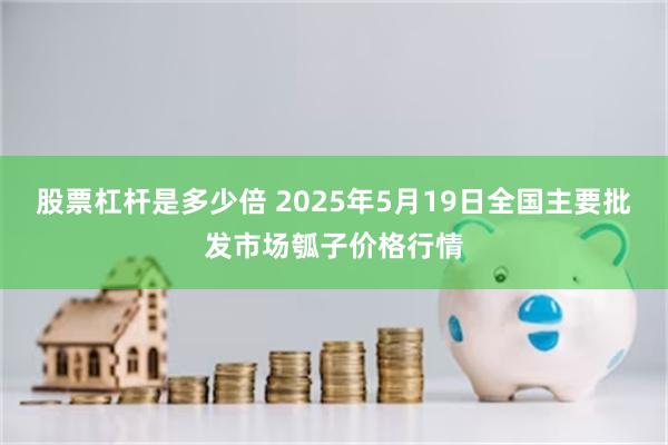 股票杠杆是多少倍 2025年5月19日全国主要批发市场瓠子价格行情