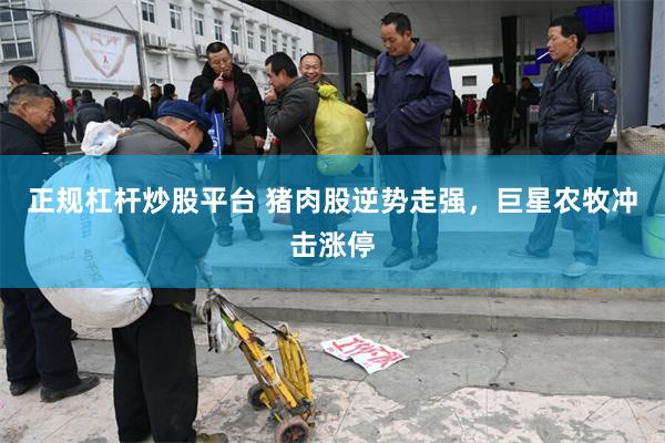 正规杠杆炒股平台 猪肉股逆势走强，巨星农牧冲击涨停