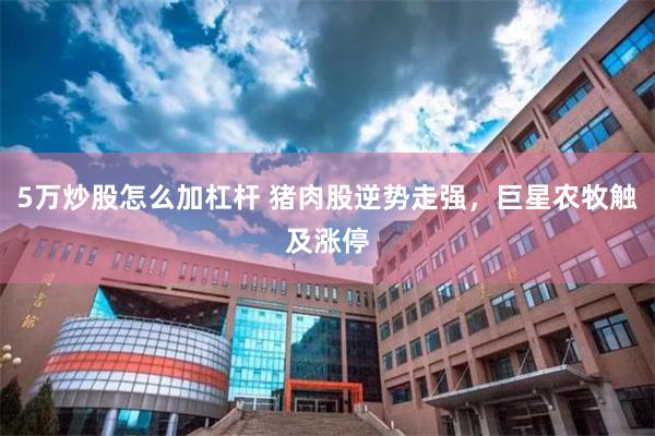 5万炒股怎么加杠杆 猪肉股逆势走强，巨星农牧触及涨停
