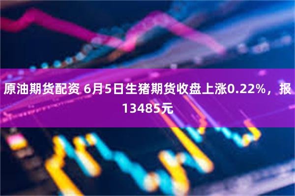 原油期货配资 6月5日生猪期货收盘上涨0.22%，报13485元