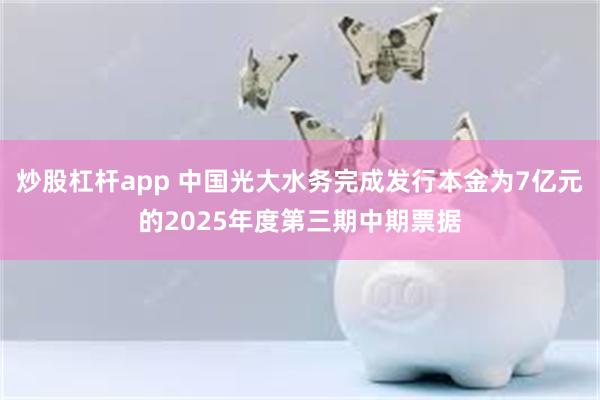 炒股杠杆app 中国光大水务完成发行本金为7亿元的2025年度第三期中期票据