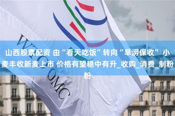 山西股票配资 由“看天吃饭”转向“旱涝保收” 小麦丰收新麦上市 价格有望稳中有升_收购_消费_制粉