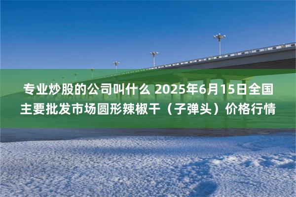 专业炒股的公司叫什么 2025年6月15日全国主要批发市场圆形辣椒干（子弹头）价格行情