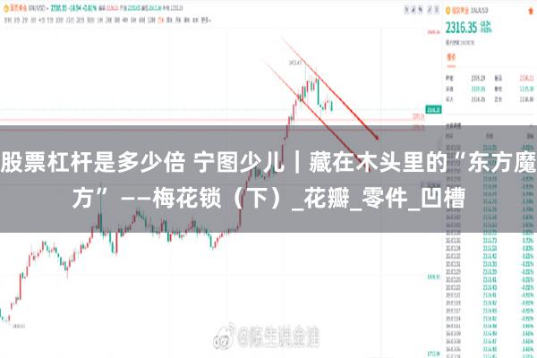 股票杠杆是多少倍 宁图少儿｜藏在木头里的“东方魔方” ——梅花锁（下）_花瓣_零件_凹槽